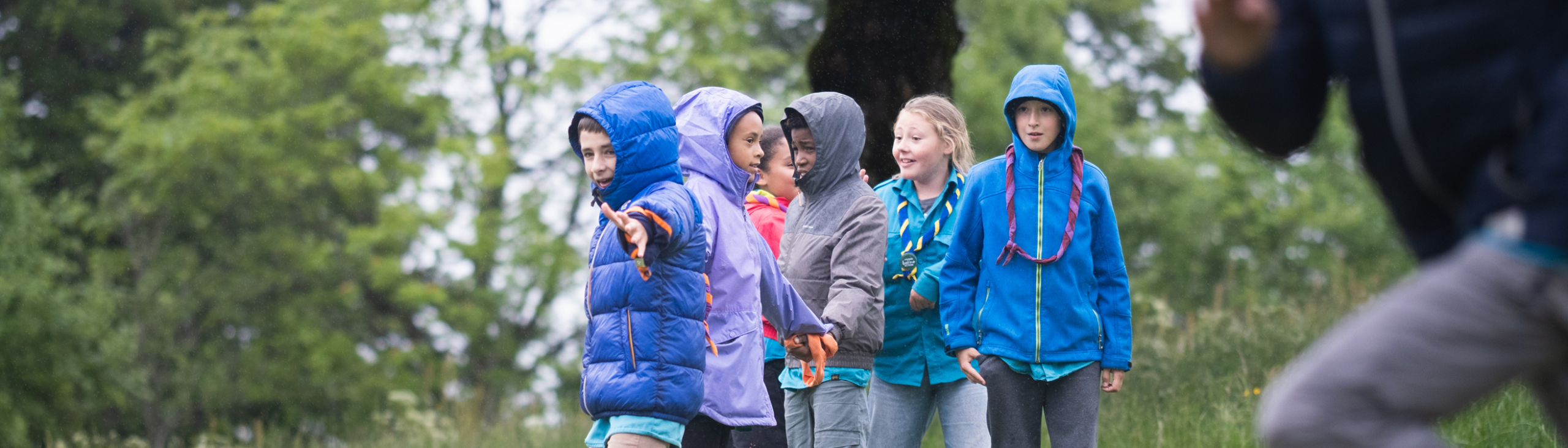 ASN - les actualités